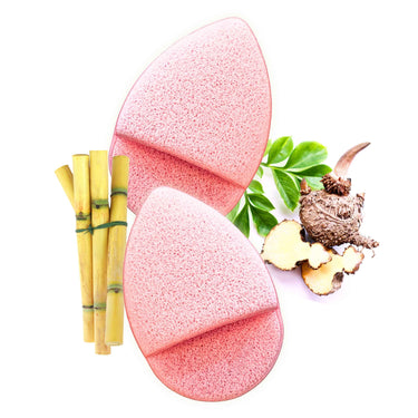 Face Sponges 2 PC Set - Exfoliating Natural Konjac & Sugarcane Bioplastic - Botanical SPA